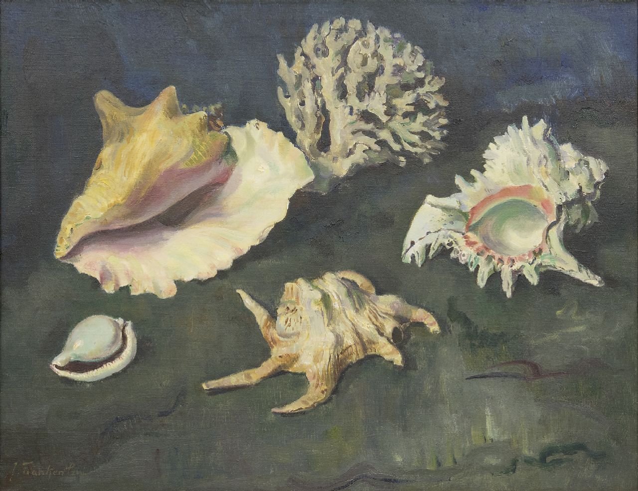Franken J.P.J.  | Joannes Petrus Josephus 'Jan' Franken, Schelpen en koraal, olieverf op doek 50,2 x 65,2 cm, gesigneerd linksonder