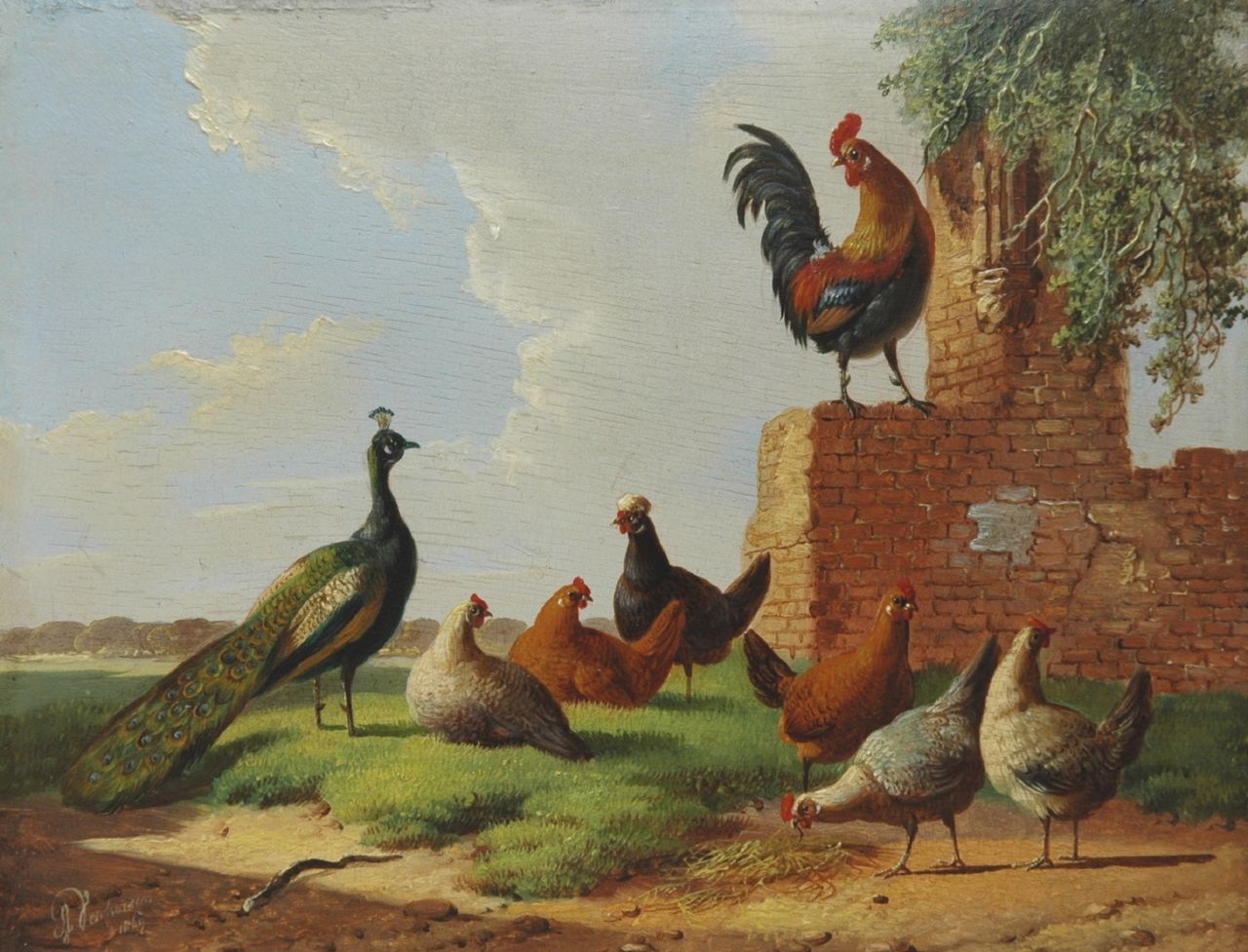 Verhoesen A.  | Albertus Verhoesen, Pluimvee en een pauw bij een vervallen muur, olieverf op paneel 13,2 x 16,7 cm, gesigneerd linksonder en gedateerd 1869