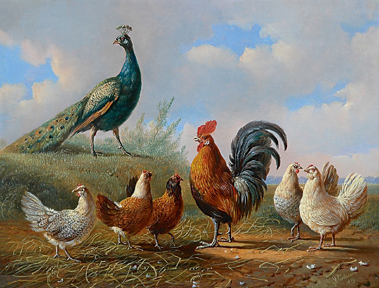 Verhoesen A.  | Albertus Verhoesen, Pauw, haan en hennen, olieverf op paneel 25,2 x 33,1 cm, gesigneerd rechtsonder en gedateerd 1859