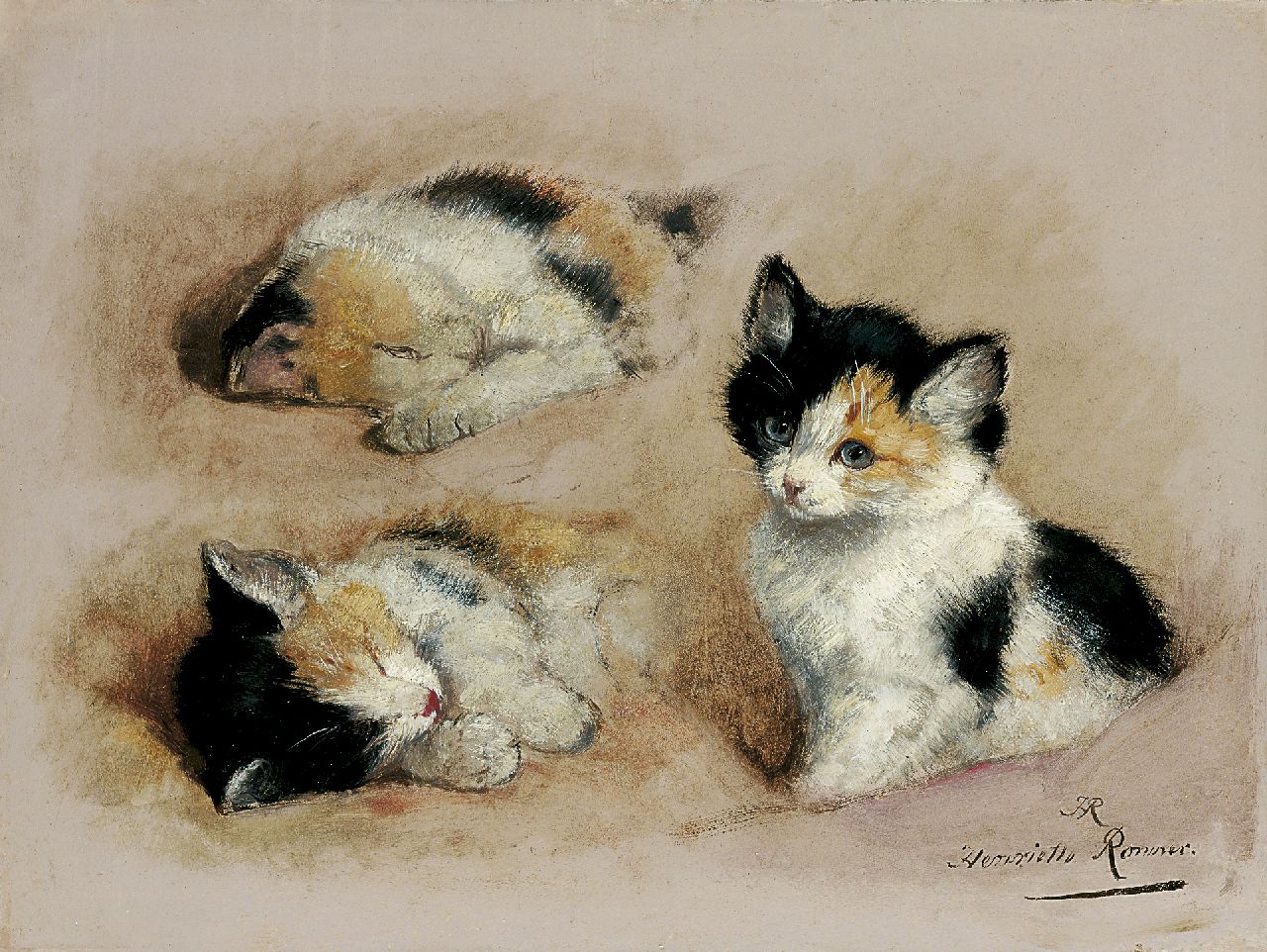 Ronner-Knip H.  | Henriette Ronner-Knip, Studie van ontwakend katje, olieverf op papier op paneel 27,1 x 36,1 cm, gesigneerd rechtsonder met initialen en voluit