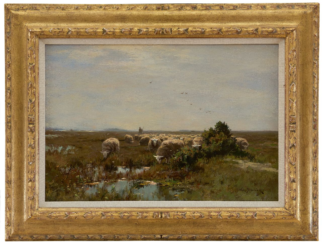 Steelink jr. W.  | Willem Steelink jr. | Schilderijen te koop aangeboden | Grazende schapen op de heide, olieverf op doek 33,1 x 48,0 cm, gesigneerd rechtsonder