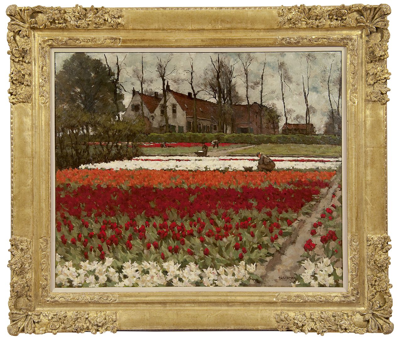 Koster A.L.  | Anton Louis 'Anton L.' Koster, Hyacinten- en tulpenvelden, Overveen, olieverf op doek 60,0 x 73,2 cm, gesigneerd rechtsonder