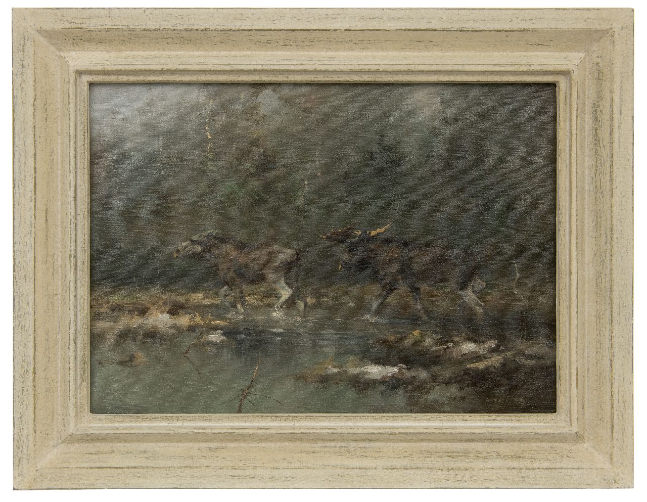 Schatz M.  | Manfred Schatz | Schilderijen te koop aangeboden | Elandenpaar bij een rivier, olieverf op doek 40,0 x 55,6 cm, gesigneerd rechtsonder