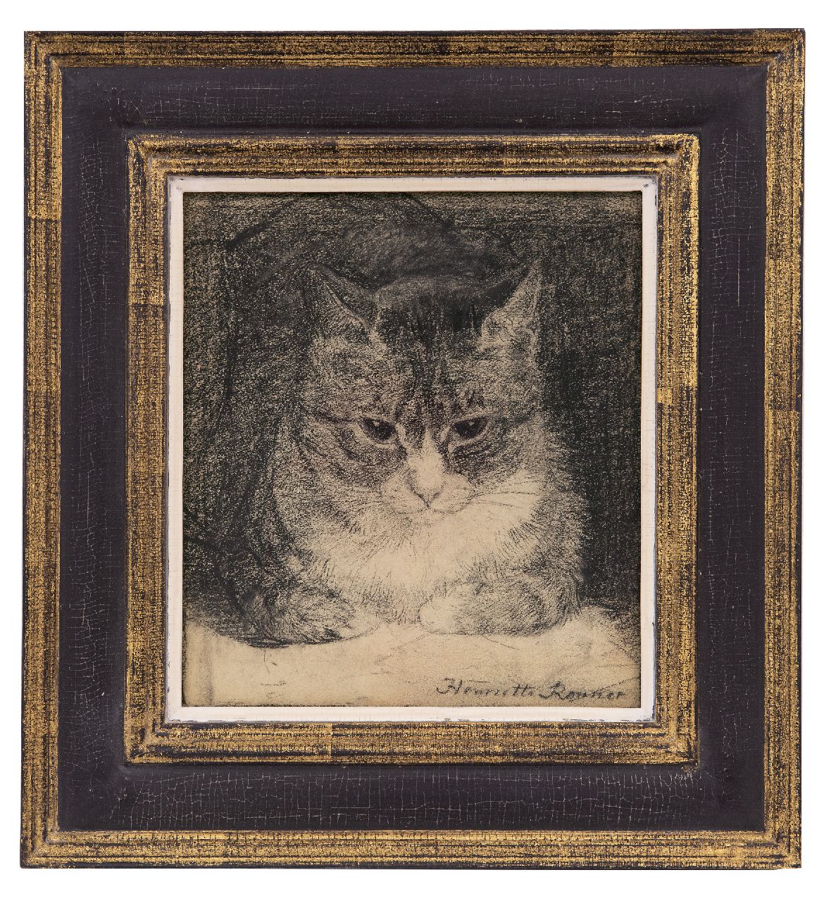 Ronner-Knip H.  | Henriette Ronner-Knip, Portret van een kat, houtskool op papier 25,2 x 23,5 cm, gesigneerd rechtsonder