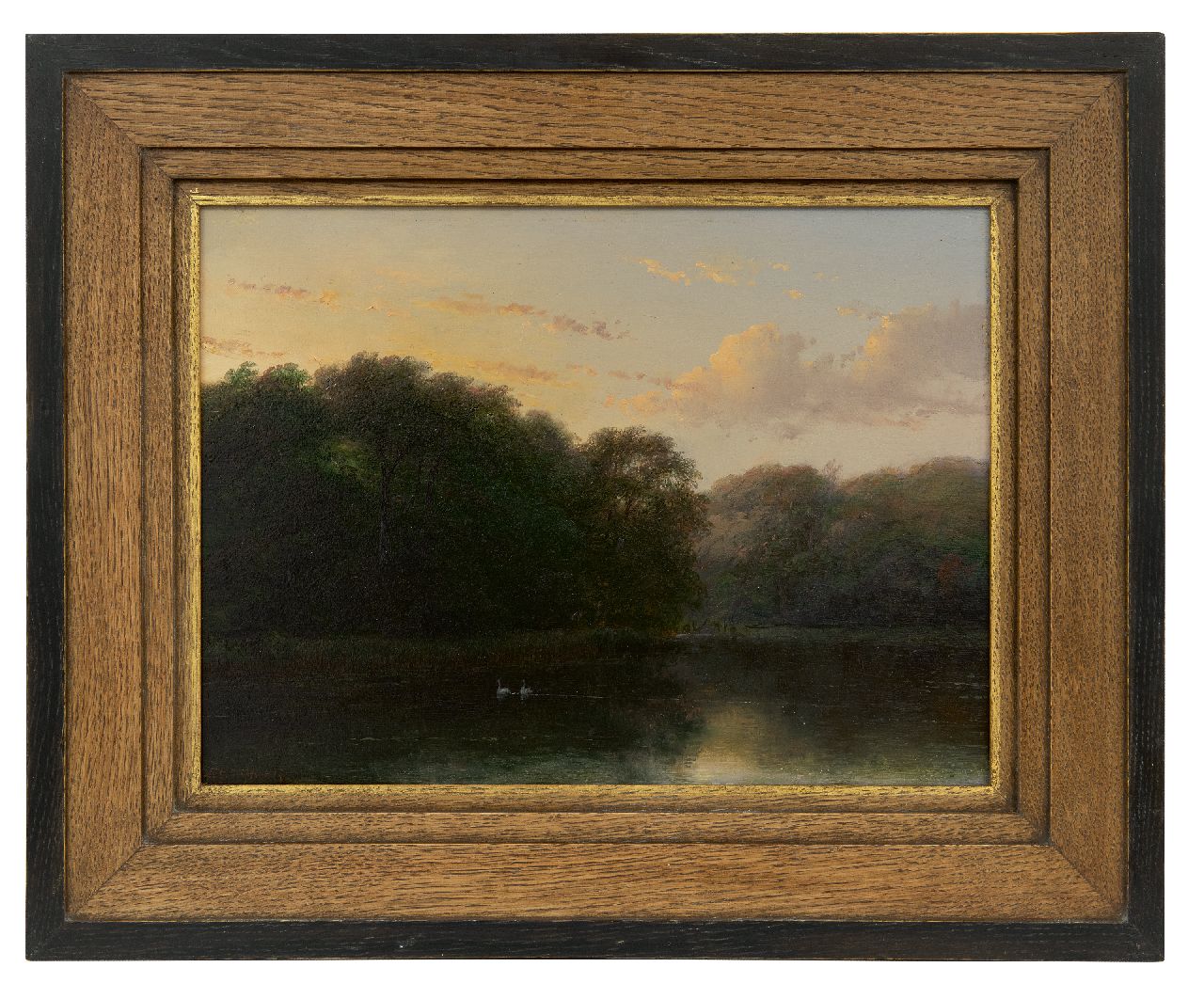 Schelfhout A.  | Andreas Schelfhout | Schilderijen te koop aangeboden | Twee zwanen in de vijver in het Haagse Bos, olieverf op paneel 24,0 x 32,6 cm, gesigneerd linksonder