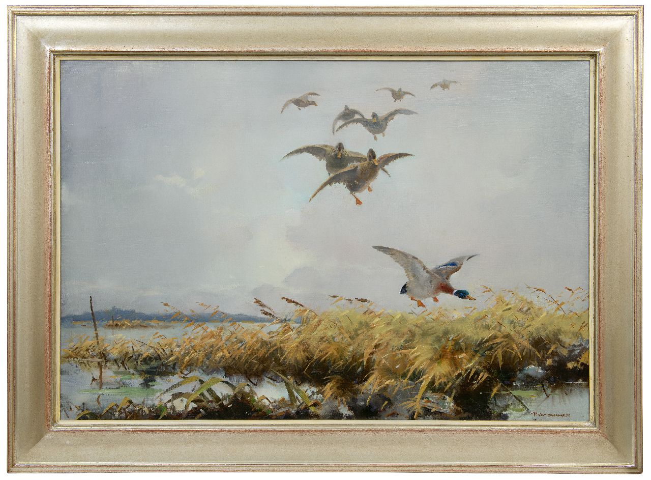 Hem P. van der | Pieter 'Piet' van der Hem | Schilderijen te koop aangeboden | Eendenvlucht, olieverf op doek 65,8 x 96,4 cm, gesigneerd rechtsonder