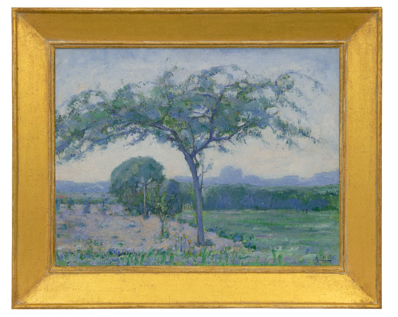 Colnot A.J.G.  | 'Arnout' Jacobus Gustaaf Colnot, Duinlandschap bij de Catrijper Nok, Schoorl, olieverf op doek 48,3 x 62,5 cm, gesigneerd rechtsonder