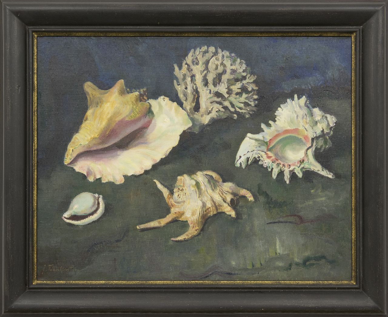 Franken J.P.J.  | Joannes Petrus Josephus 'Jan' Franken, Schelpen en koraal, olieverf op doek 50,2 x 65,2 cm, gesigneerd linksonder