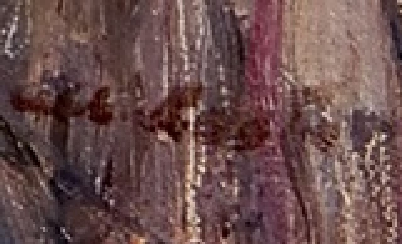 Albert Loots signaturen Draaimolen