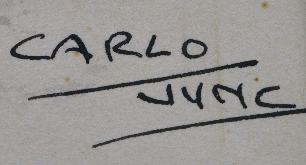 Carlo Jung signaturen De onverwachte golf