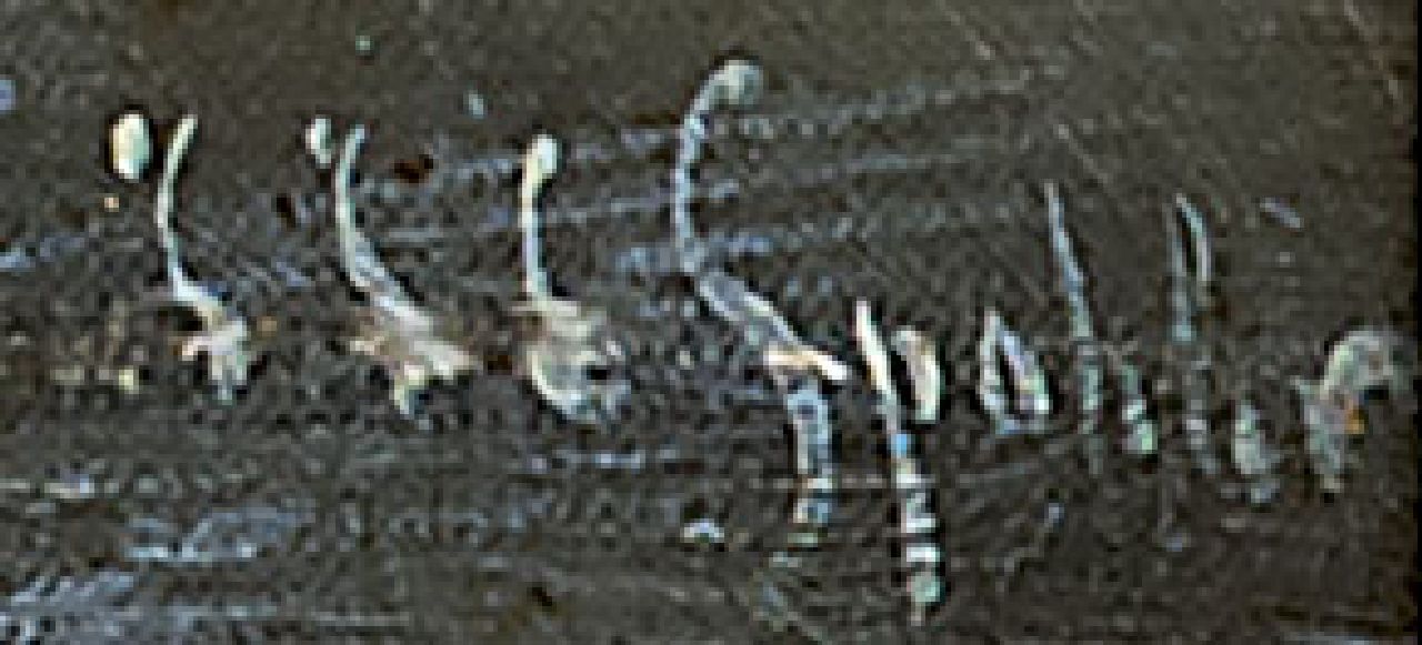 Jacob Jan Coenraad Spohler signaturen Schaatspret op een bevroren rivier bij molens