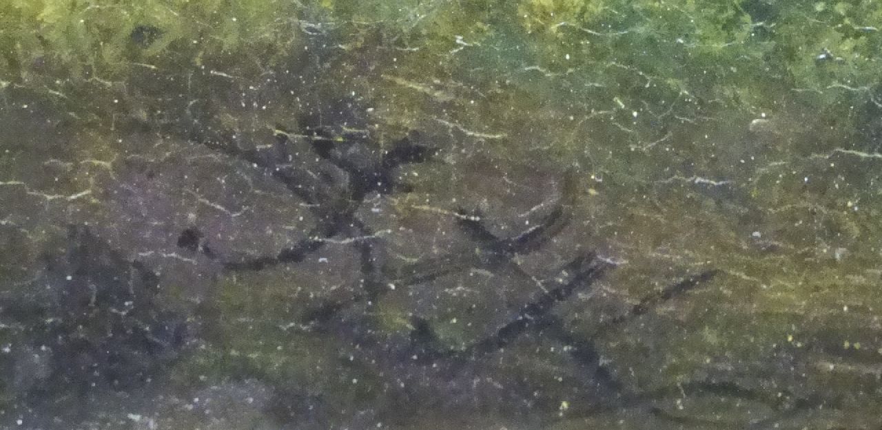 Jacob Kouwenhoven signaturen Zomerlandschap
