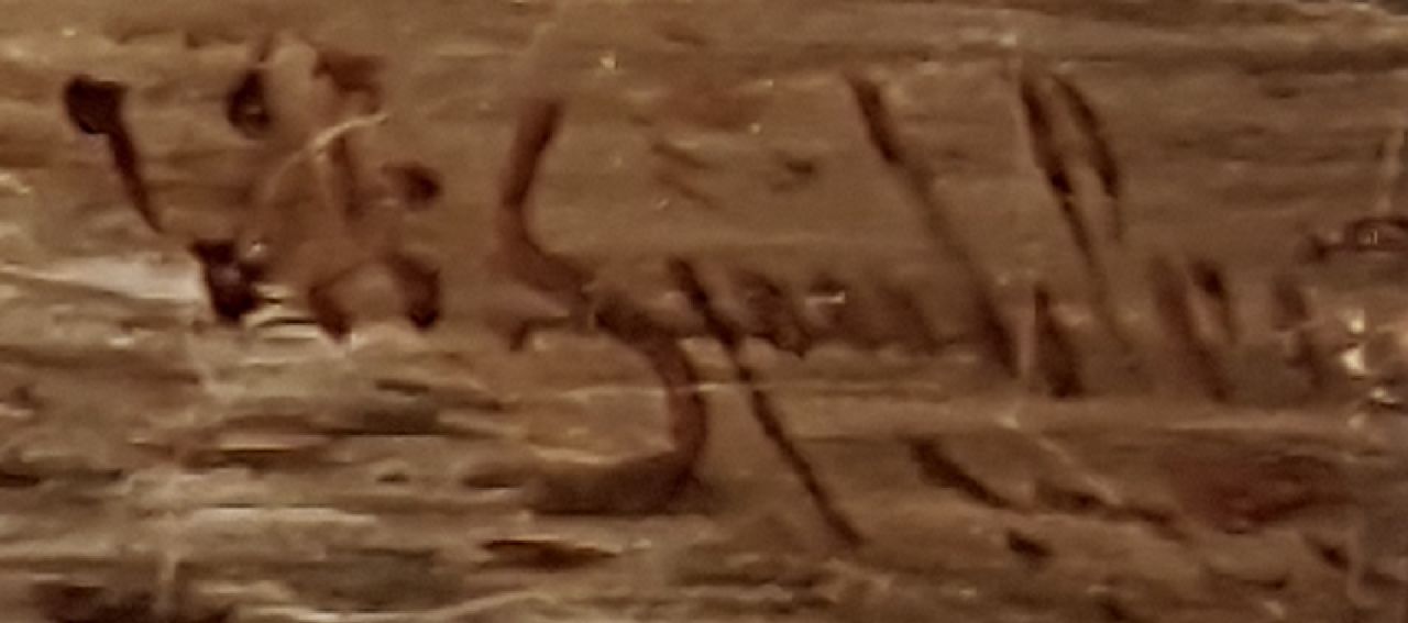 Johannes Franciscus Spohler signaturen Zonnig grachtje met ophaalbrug