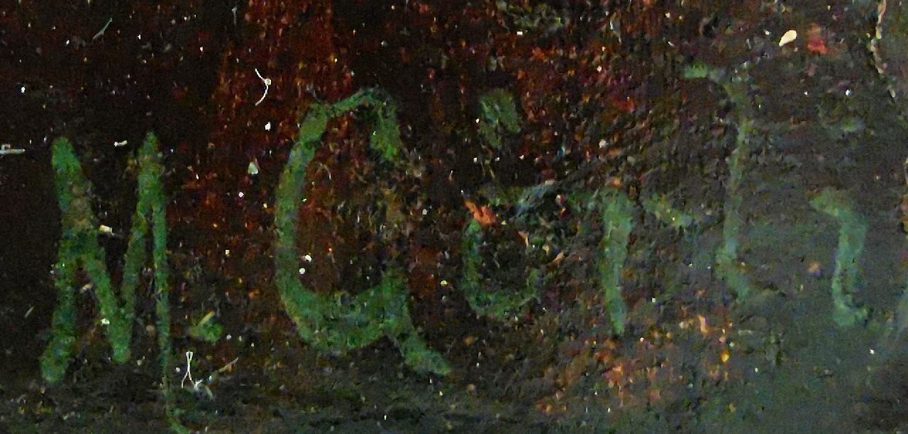 Marie Görlich signaturen Groene specht