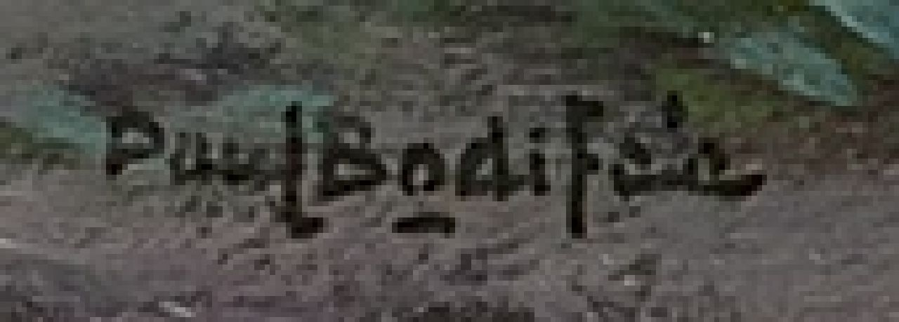 Paul Bodifée signaturen Bloemenveldje