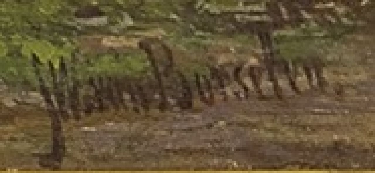 Jan Willem van Borselen signaturen Boerderij aan het water