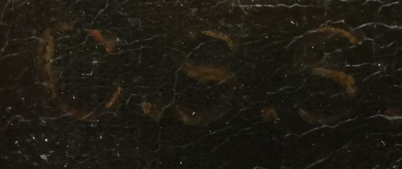 Cornelis Samuel Stortenbeker signaturen Nestelende zwaluwen