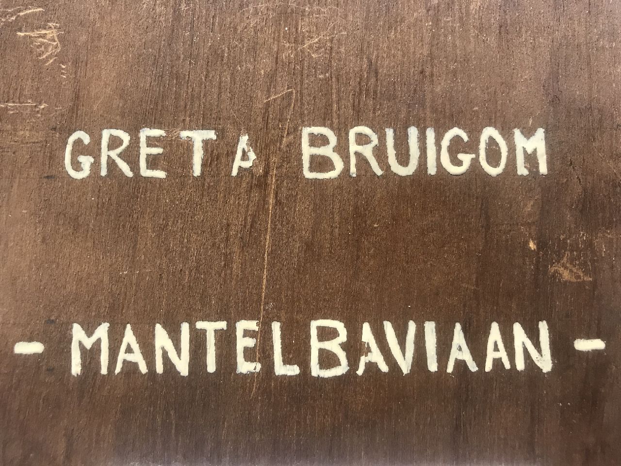 Greta Bruigom signaturen Mantelbaviaan
