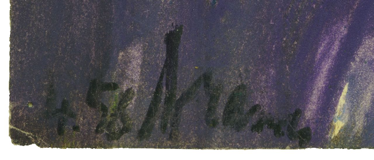 Eugène Brands signaturen 1000 sterren boven het bos