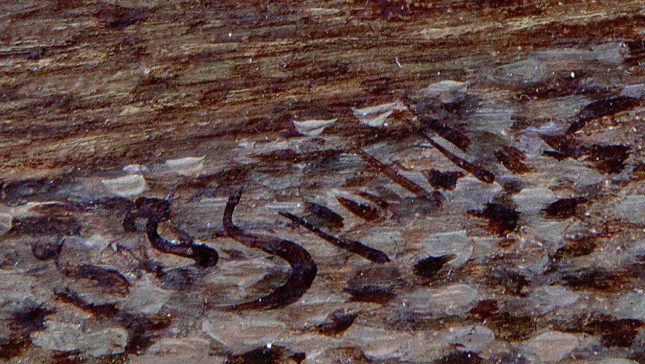 Johannes Franciscus Spohler signaturen Zomers stadsgezicht met de toren van de Haarlemse Bakenesserkerk (pendant van winter)