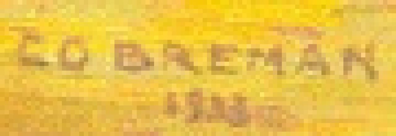 Co Breman signaturen Hooimaand (aan de IJssel)