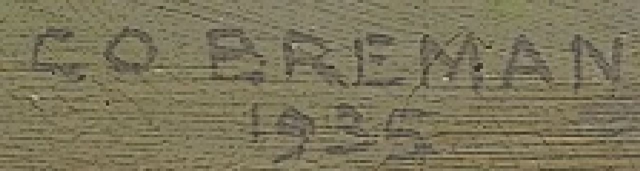 Co Breman signaturen Salland, zomermorgen