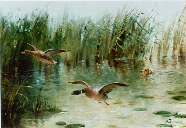 Richard Kiss | Opvliegende eenden en jachthond in het water, olieverf op doek op paneel, 55,0 x 75,0 cm, gesigneerd r.o. en gedateerd '90