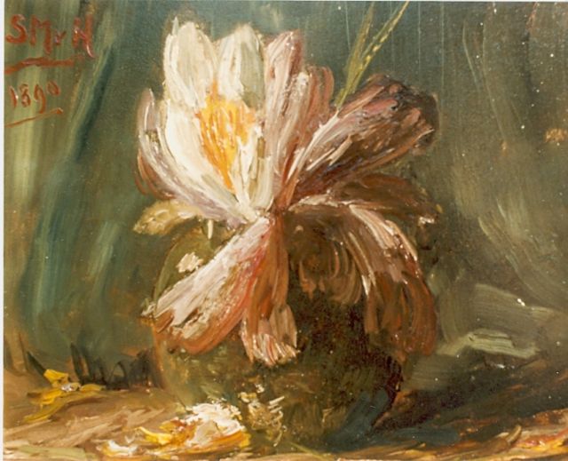 Sientje Mesdag-van Houten | Bloemstilleven, olieverf op paneel, 24,6 x 33,2 cm, gesigneerd l.b. en gedateerd '1890'