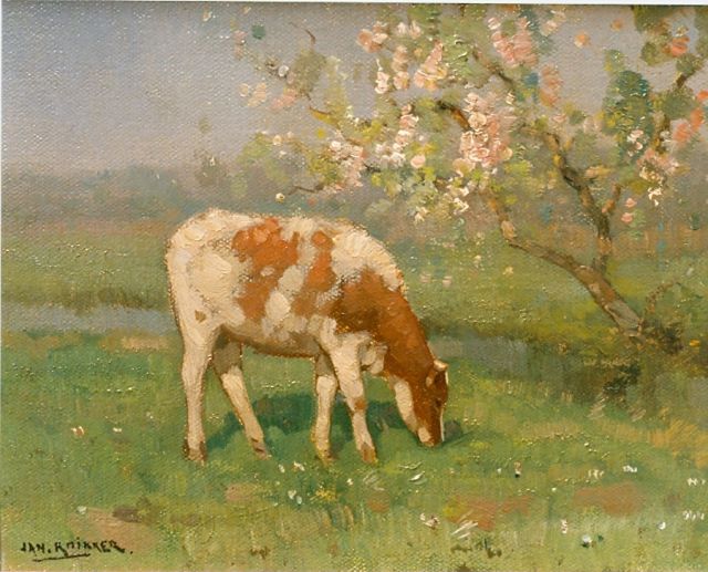 Jan Knikker jr. | Kalfje in wei onder bloesemboom, olieverf op paneel, 18,0 x 24,0 cm, gesigneerd r.o.