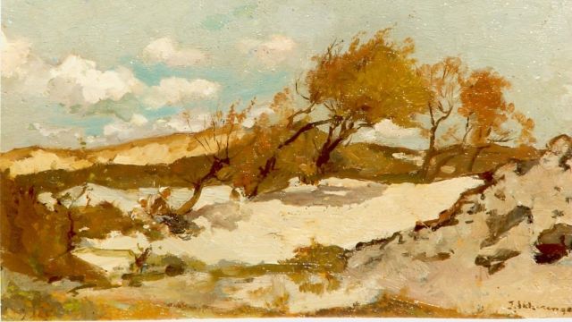 Johannes Evert Akkeringa | Achter de duinen, olieverf op doek, 13,0 x 20,0 cm, gesigneerd r.o.
