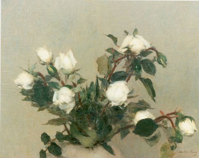 Walter Vaes | Witte roosjes, olieverf op doek, 31,0 x 40,0 cm, gesigneerd r.o.