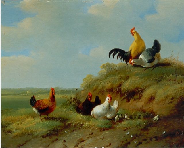 Albertus Verhoesen | Kippen, kuikens en hanen, olieverf op paneel, 14,0 x 13,6 cm, gesigneerd r.o.