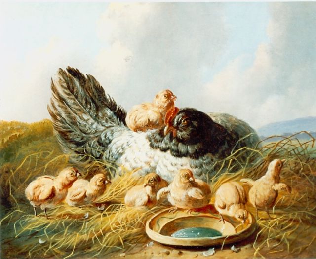 Albertus Verhoesen | Hen en zeven kuikens, olieverf op paneel, 15,0 x 19,0 cm, gesigneerd l.o.