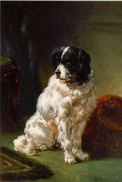 Wouterus Verschuur | De hond van de schilder, olieverf op paneel, 20,0 x 15,0 cm, gesigneerd r.o.