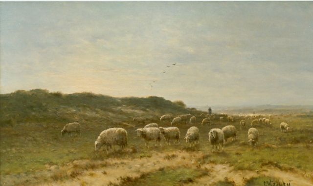 Cornelis Westerbeek | Schapen op de heide, olieverf op doek, 60,0 x 100,0 cm, gesigneerd r.o. en gedateerd '99