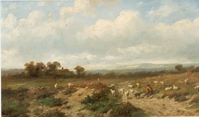 Anthonie Jacobus van Wijngaerdt | Heidelandschap met herder en schapen, olieverf op paneel, 23,5 x 36,0 cm, gesigneerd r.o.
