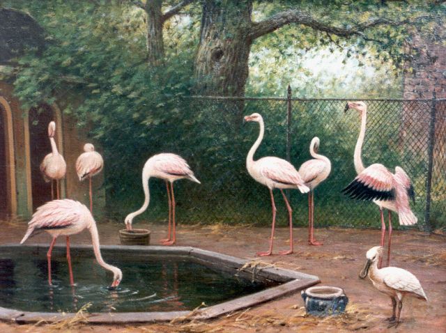 Marinus Adrianus Koekkoek II | Flamingo's, olieverf op doek, 51,0 x 64,3 cm, gesigneerd r.o. en gedateerd 1909