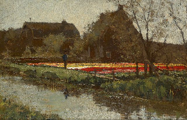 Anton Koster | Tulpenvelden in het voorjaar, olieverf op doek op board, 29,8 x 43,7 cm, gesigneerd r.o.