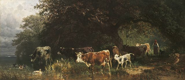 Voltz J.F.  | Koeien bij de Starnberger See, olieverf op paneel 39,6 x 90,4 cm, gesigneerd r.o. en gedateerd '70