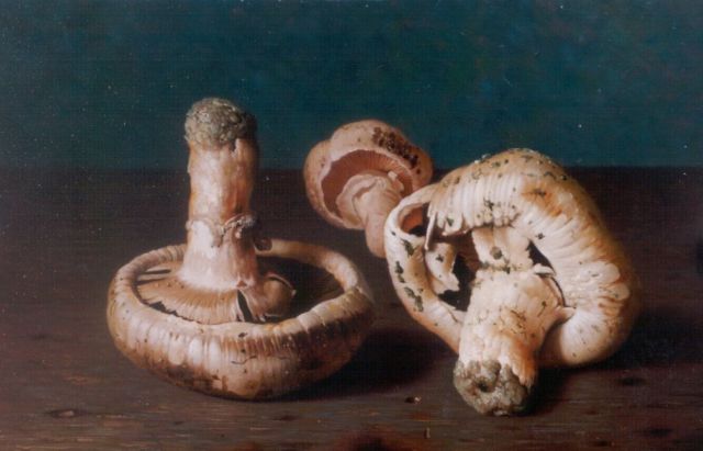 Bubarnik G.  | Champignons op een stenen tafel, koper 18,0 x 23,9 cm, gesigneerd r.o.
