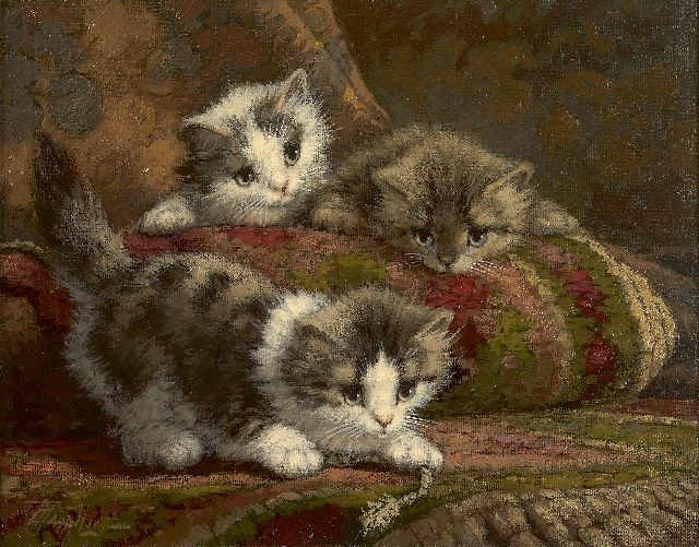 Cornelis Raaphorst | Drie katjes op een sierkussen, olieverf op doek, 24,2 x 30,3 cm, gesigneerd l.o.