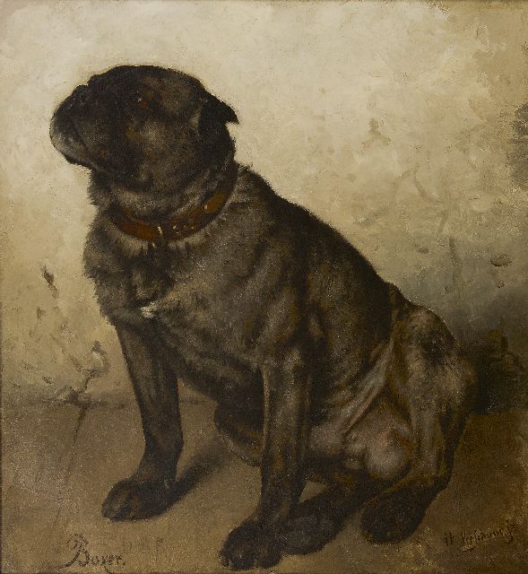 Verschuur jr. W.  | Boxer, olieverf op doek 53,4 x 49,2 cm, gesigneerd r.o.