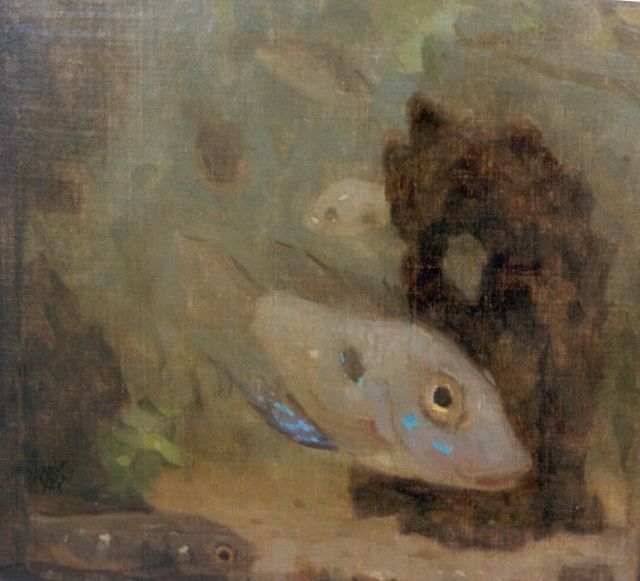 Gerrit Willem Dijsselhof | Kogelvissen, olieverf op doek op paneel, 17,6 x 18,5 cm, gesigneerd l.o.