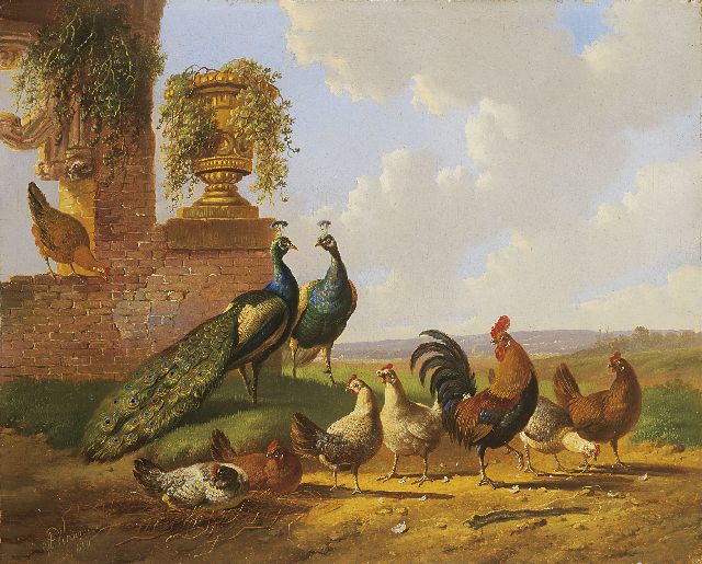Albertus Verhoesen | Pauwen en pluimvee bij een ruïne, olieverf op paneel, 30,3 x 37,5 cm, gesigneerd l.o. en gedateerd 1870