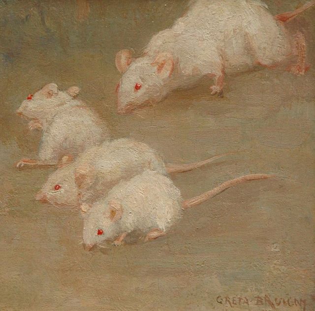Greta Bruigom | Witte muisjes, olieverf op paneel, 13,1 x 12,9 cm, gesigneerd r.o.
