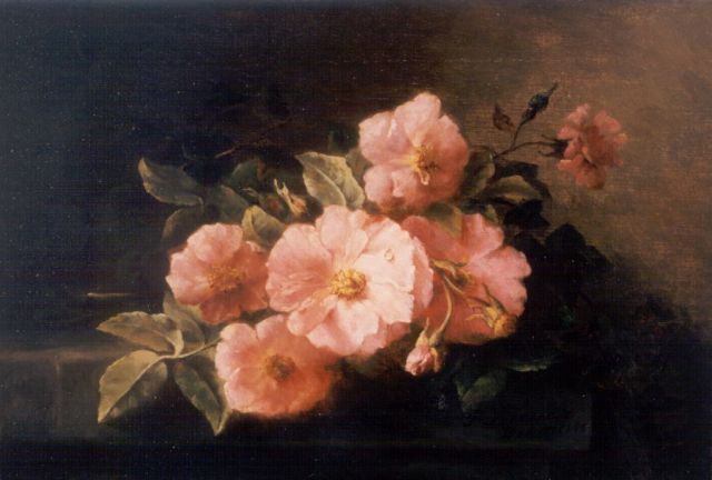 Frederika Breuer-Wikman | Stilleven van rozen, olieverf op doek, 30,0 x 43,6 cm, gesigneerd r.o.