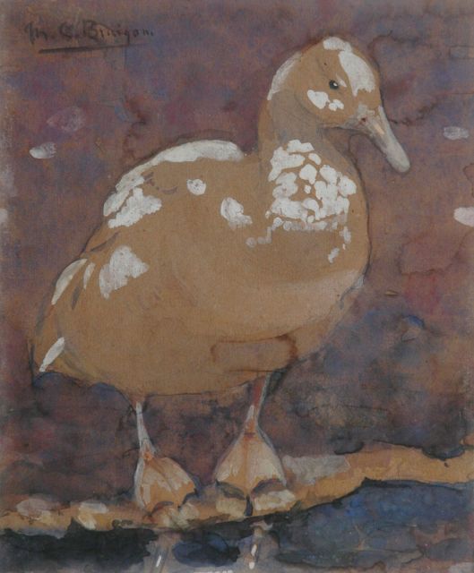 Greta Bruigom | Eend, aquarel op papier, 17,5 x 14,4 cm, gesigneerd l.b.