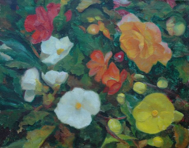 Jan Visser | Begonia's, olieverf op doek, 40,2 x 50,1 cm, gesigneerd l.o.
