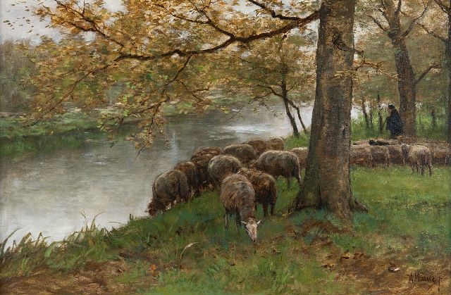 Anton Mauve | Drinkende schapen bij een rivier, olieverf op doek, 60,5 x 90,2 cm, gesigneerd r.o. en te dateren ca. 1870