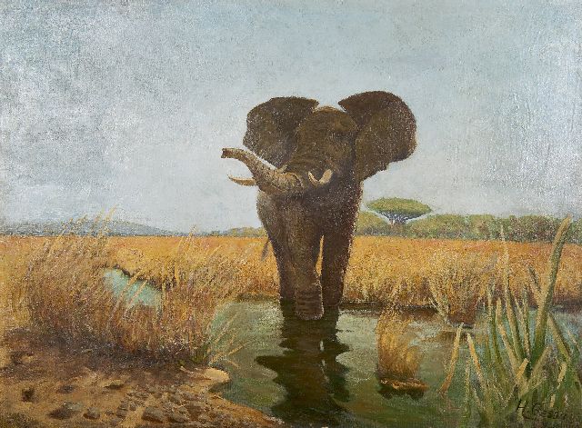 Gezda H.  | Wadende olifant, olieverf op doek 70,6 x 93,0 cm, gesigneerd r.o. en gedateerd '93 [1893]